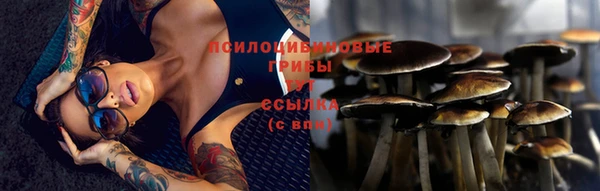 скорость Арсеньев