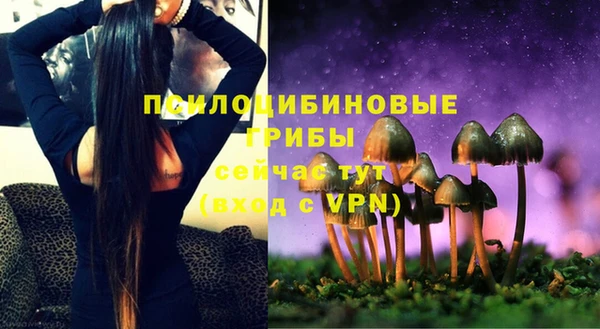 дживик Армянск