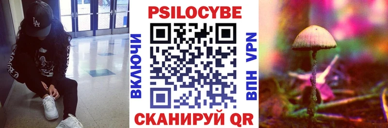 Псилоцибиновые грибы ЛСД  купить закладку  MEGA ССЫЛКА  Мглин 