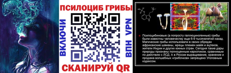 Псилоцибиновые грибы мухоморы Мглин